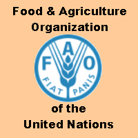 FAO News Source Thumbs Logo.